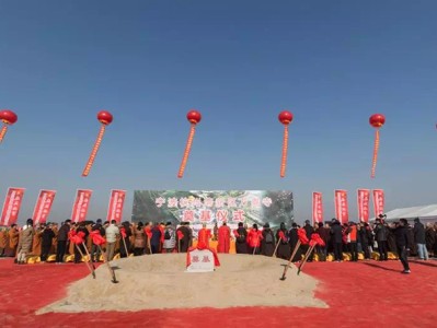 仿古建筑設(shè)計與施工流程解析，每一步都是匠心沉淀
